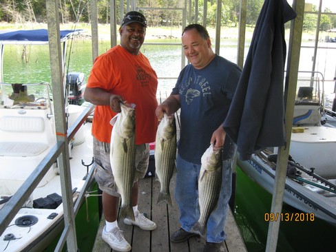 Nice Striped Bass